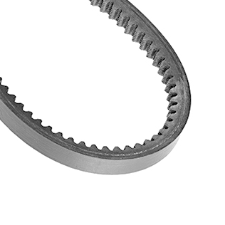 Zahnkeilriemen | Harfington 