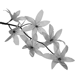 Artificial Plants | Harfington 